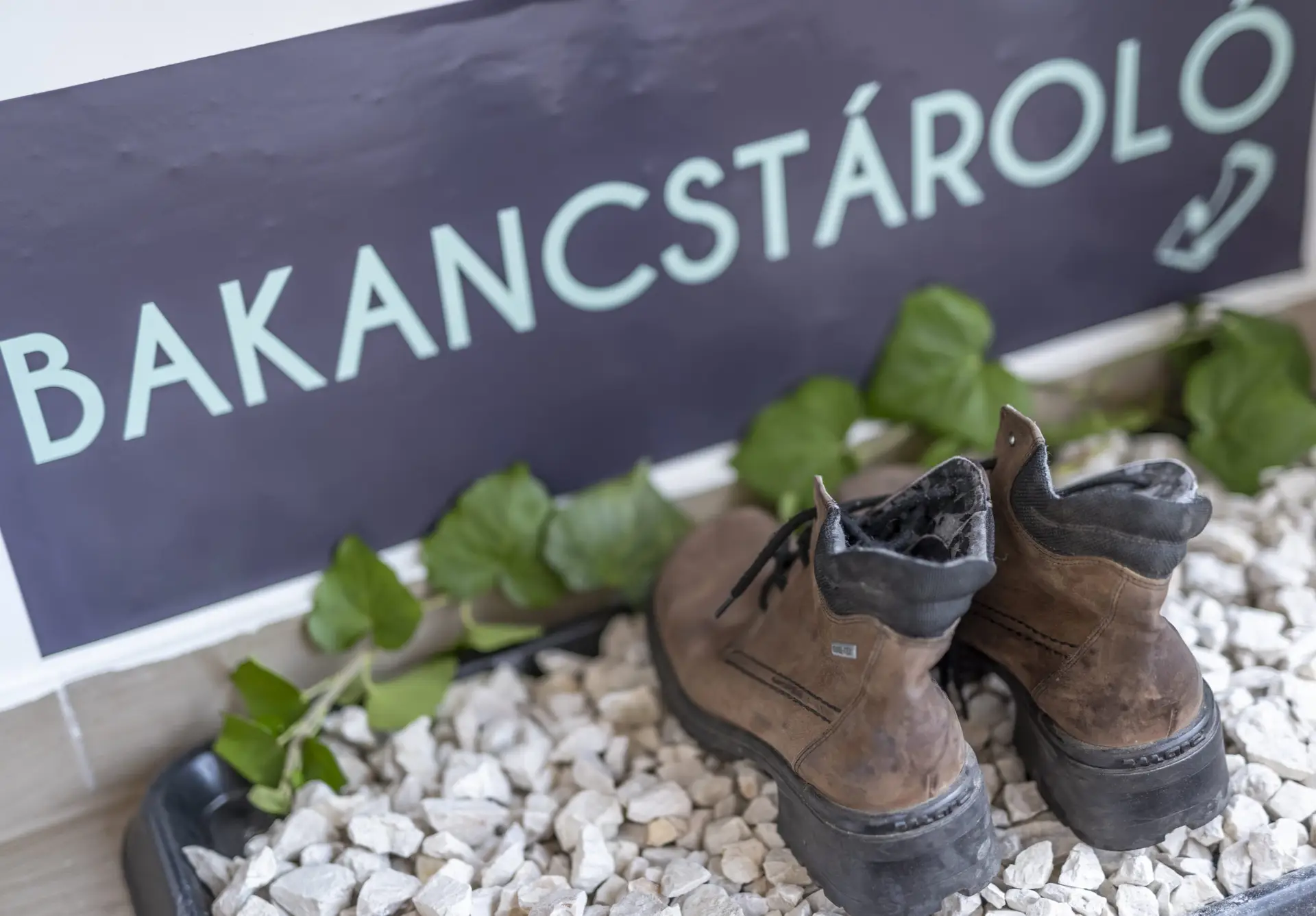 20210730_AGOSTYÁNI_KULCSOSHÁZ_146